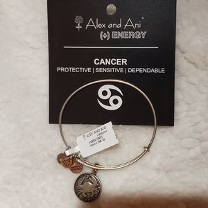 Alex and Ani Cancer bracelet